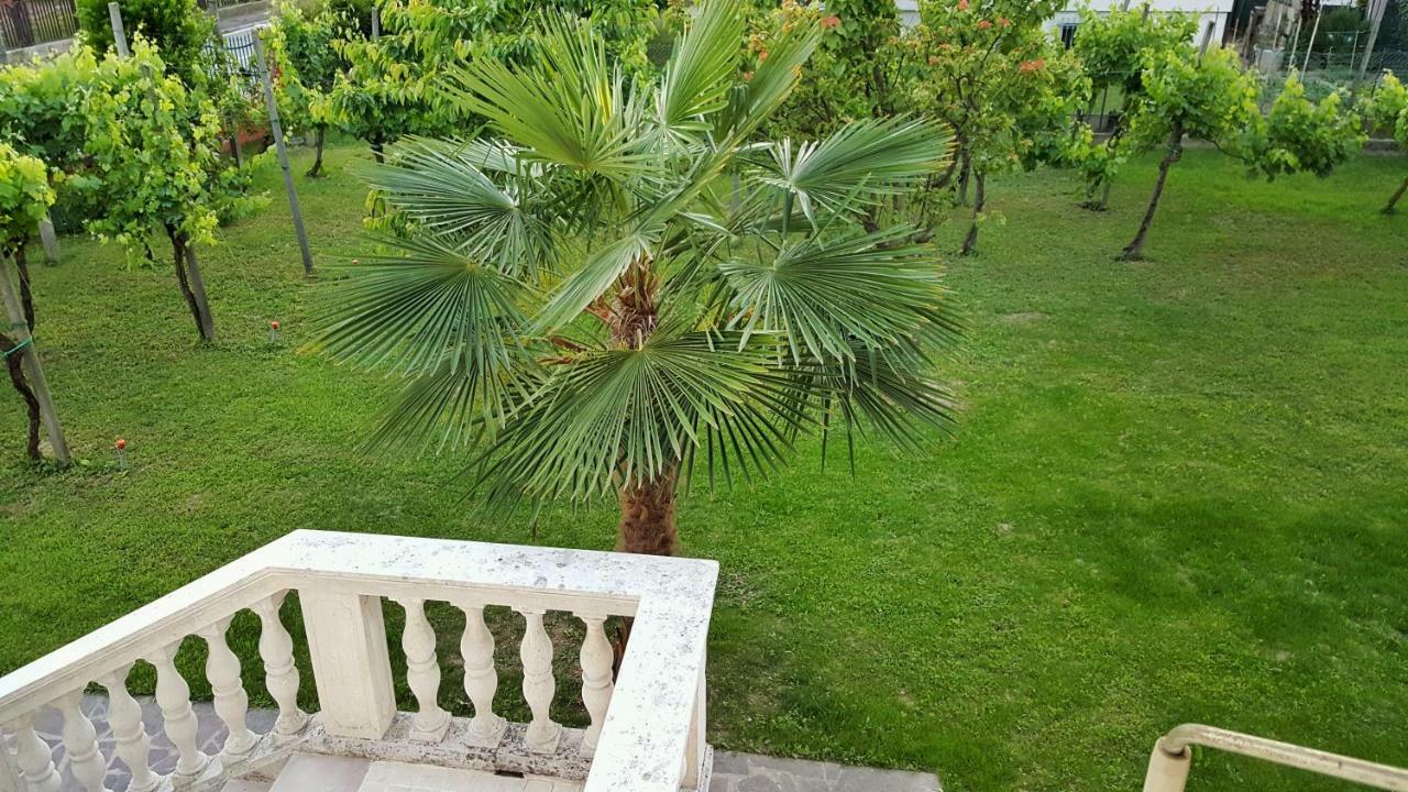 Casa Del Vigneto - New Near Venice - Rooms+Bathroom - Independent Spinea Exterior foto